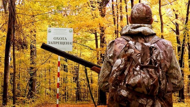 Спортивная и любительская охота на территории Белгородской области запрещена.