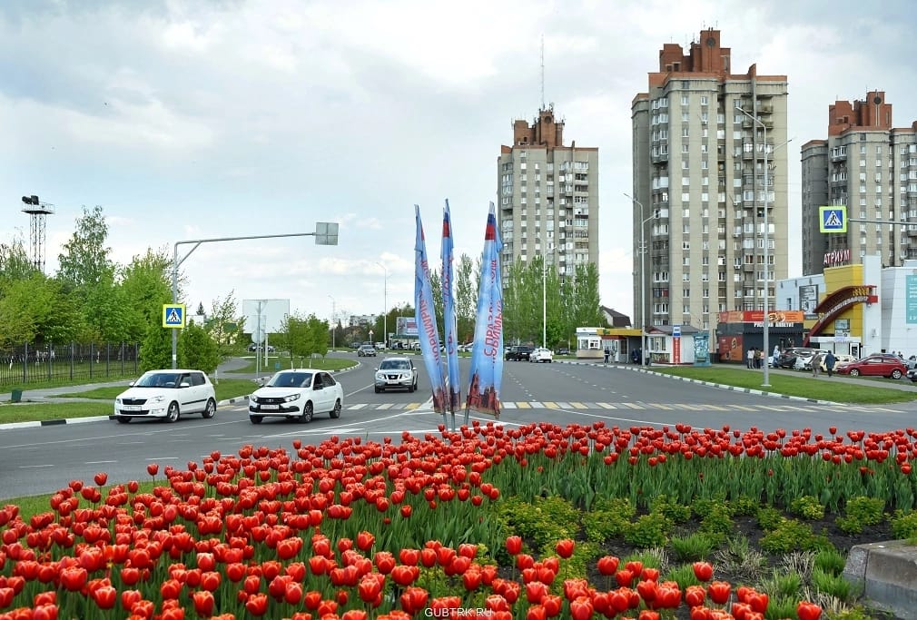 Озеленение территории Губкинского городского округа.