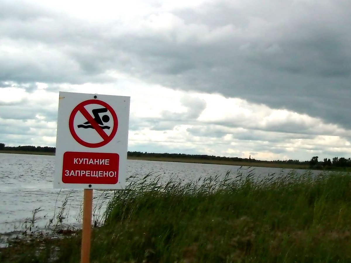 С 1 июня в Губкине стартовал купальный сезон.