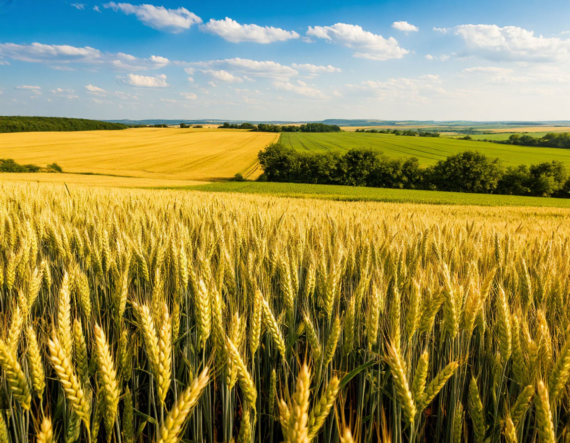 Аграриям упростят жизнь.