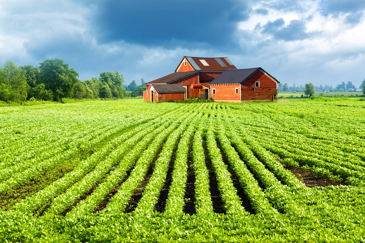 Можно построить жилой дом на землях сельскохозяйственного назначения.