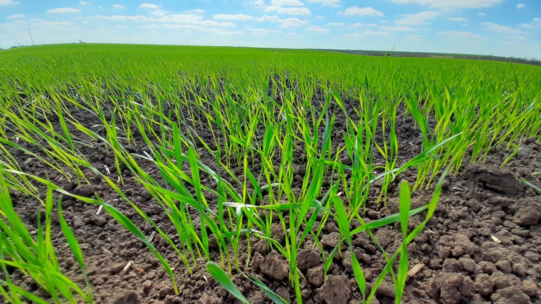 Состоялась коллегия.