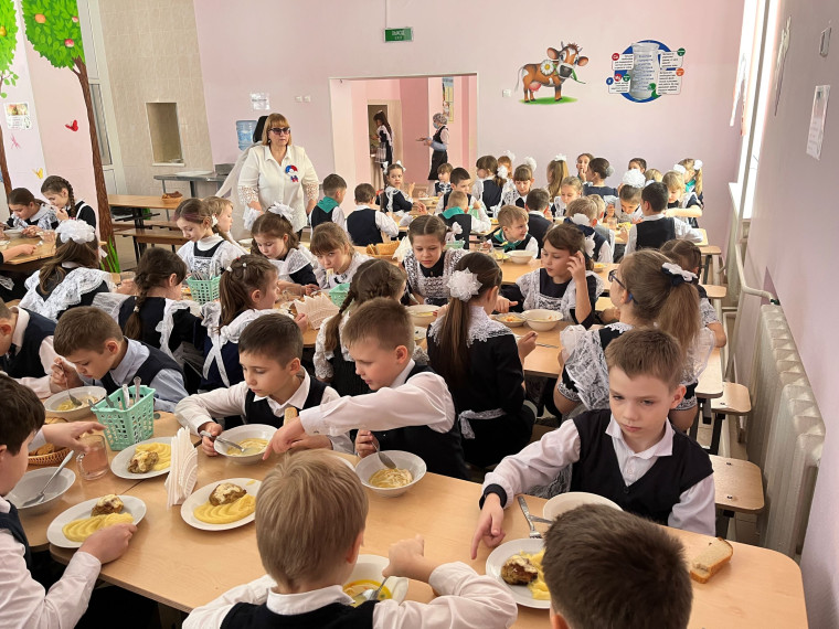 Мониторинг качества и сбалансированности питания в школах округа.